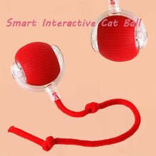 Rolling Cat Ball Toy R