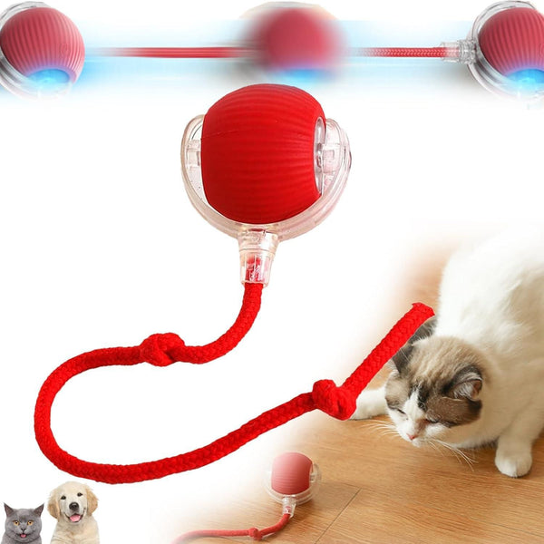 Rolling Cat Ball Toy R