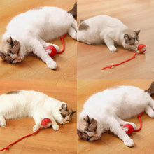 Rolling Cat Ball Toy R